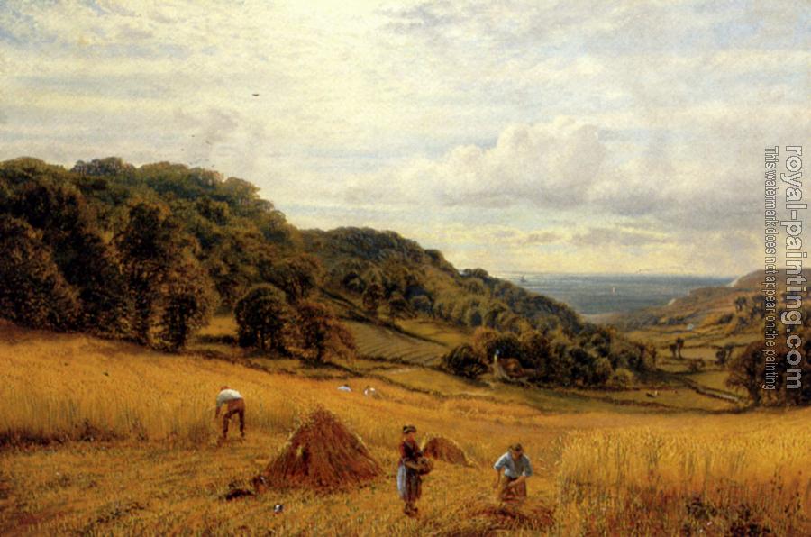 Alfred Glendening : Harvesting At Luccombe Isle Of Wight